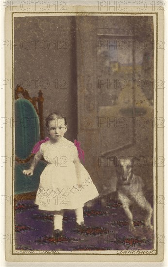 little girl standing with a dog on the floor next to her; Bent, British, active 1860s, 1865 - 1875; Hand-colored albumen silver