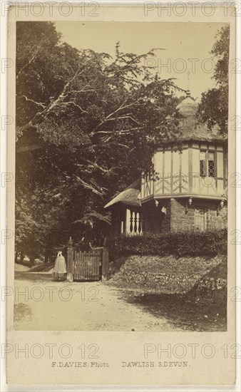 Entrance Lodge, Mamhead Park; F. Davies, British, active 1860s, 1865 - 1875; Albumen silver print