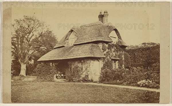 Exterior view of Oak Cottage, Blaise Hamlet; 1867; Albumen silver print