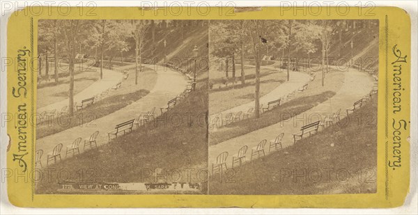View at Congress Park, Saratoga, New York; American; about 1870; Albumen silver print