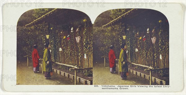 Yokohama. Japanese Girls Viewing the tallest Chrysanthemums Grown; about 1900; Color halftone
