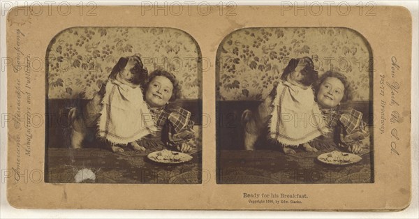 Ready for his Breakfast; Edward Clarke, American, active 1900s - 1910s, 1896; Hand-colored Albumen silver print