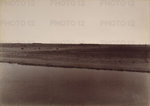 View on the Calloway Canal, near Poso Creek, Kern County; Carleton Watkins, American, 1829 - 1916, 1887; Albumen silver print