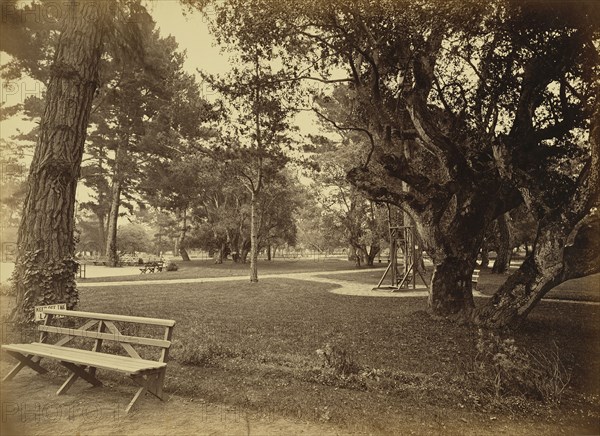 Monterey, California. Hotel Del Monte, Lawn View; Carleton Watkins, American, 1829 - 1916, Monterey, California, United States