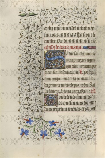 Decorated Initial S; Paris, France; about 1415 - 1420; Tempera colors, gold paint, gold leaf, and ink on parchment