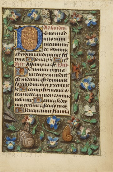 Decorated Initial D; Master of the Dresden Prayer Book or workshop, Flemish, active about 1480 - 1515, Bruges, Belgium