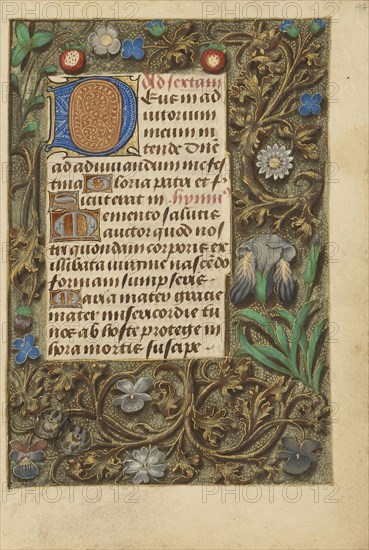 Decorated Initial D; Bruges, Belgium; about 1480 - 1485 ?; Tempera colors and gold on parchment; Leaf: 20.5 x 14.8 cm