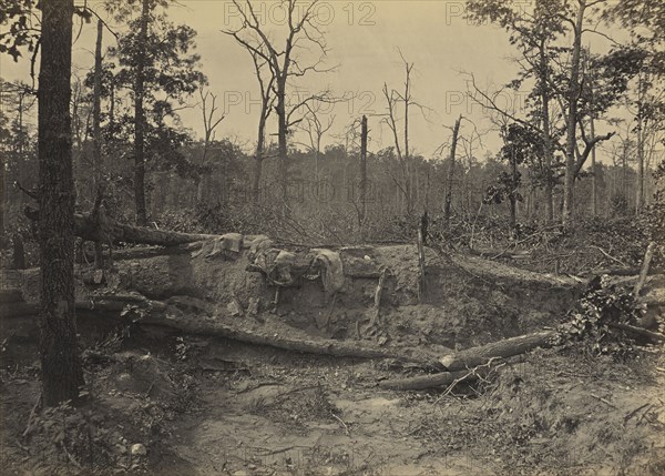 Battle Field of New Hope Church, Georgia, No. 2; George N. Barnard, American, 1819 - 1902, New York, United States