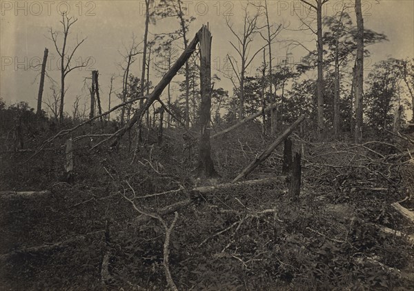 The  Hell Hole  New Hope Church, Georgia; George N. Barnard, American, 1819 - 1902, New York, United States; negative