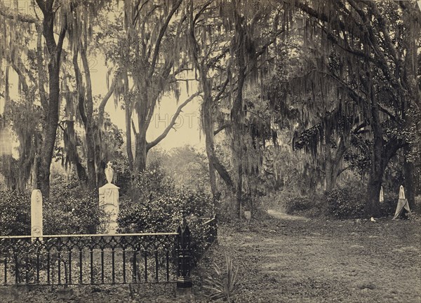 Buen-Ventura Savannah, Georgia; George N. Barnard, American, 1819 - 1902, New York, United States; negative about 1865; print