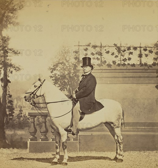 Monsieur Emile de Girardin; Louis-Jean Delton, French, 1807 - 1891, Paris, France; 1865; Albumen silver print