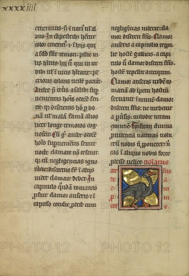 A Heron; Thérouanne ?, France, formerly Flanders, fourth quarter of 13th century, after 1277, Tempera colors, pen and ink