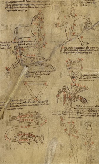 Constellation Diagrams; England; early 13th century; Pen and black, green, and red inks on parchment bound between pasteboard