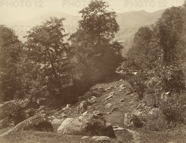 La Vallée du Lys, Coup de Vent, Aimé Civiale, Italian, 1821 - 1893, France; 1857 - 1858; Albumen silver print