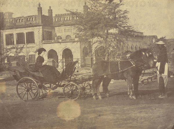 Mrs. Bayley; India; 1858 - 1869; Albumen silver print