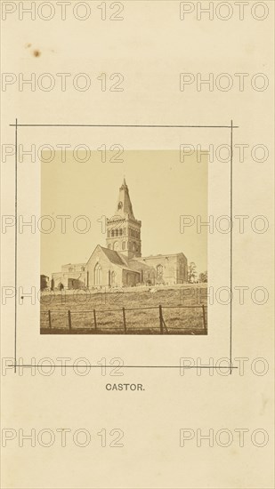 Castor; William Ball, British, active 1860s - 1870s, London, England; 1868; Albumen silver print