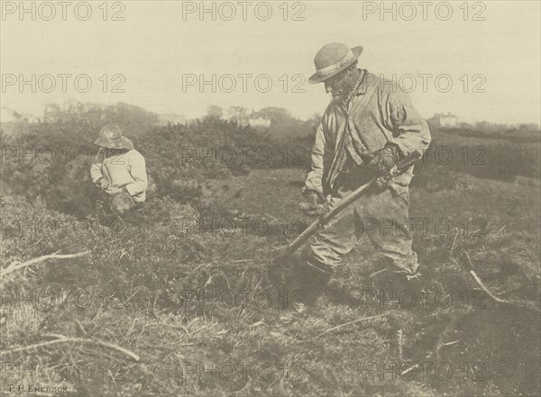 Furze=Cutting on a Suffolk Common; Peter Henry Emerson, British, born Cuba, 1856 - 1936, London, England; 1888; Photogravure