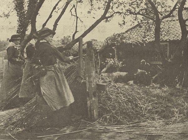 Osier=Peeling. Norfolk; Peter Henry Emerson, British, born Cuba, 1856 - 1936, London, England; 1888; Photogravure; 21.3 x 28.3