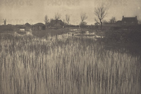 A Rushy Shore; Peter Henry Emerson, British, born Cuba, 1856 - 1936, London, England; 1886; Platinum print; 18.9 x 28.6 cm