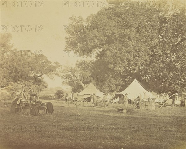 Hunting Camp; Colonel William Willoughby Hooper, British, 1837 - 1912, India; about 1870; Albumen silver print