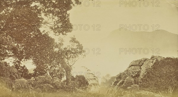 print; Colonel William Willoughby Hooper, British, 1837 - 1912, India; about 1870; Albumen silver print