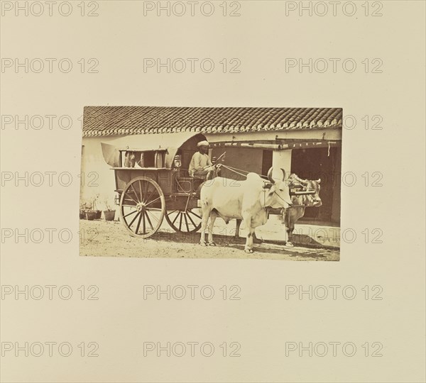 print; Colonel William Willoughby Hooper, British, 1837 - 1912, India; about 1870; Albumen silver print