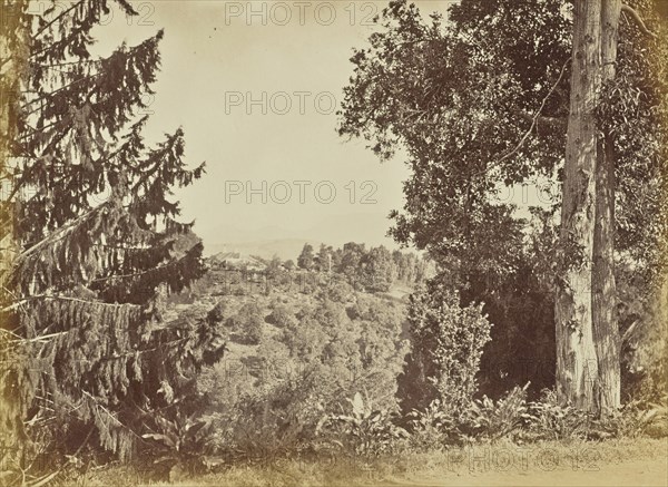 print; Colonel William Willoughby Hooper, British, 1837 - 1912, India; about 1870; Albumen silver print