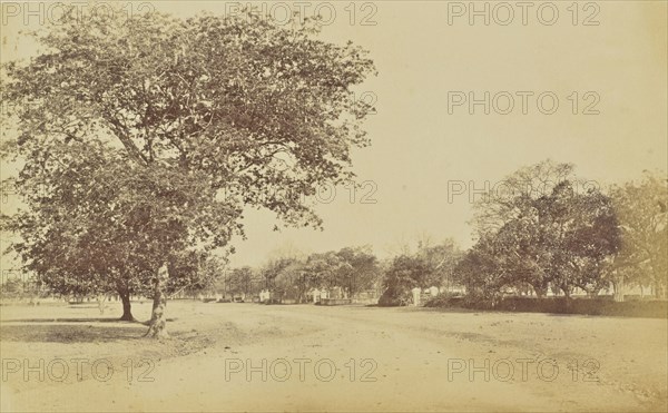 print; Colonel William Willoughby Hooper, British, 1837 - 1912, India; about 1870; Albumen silver print