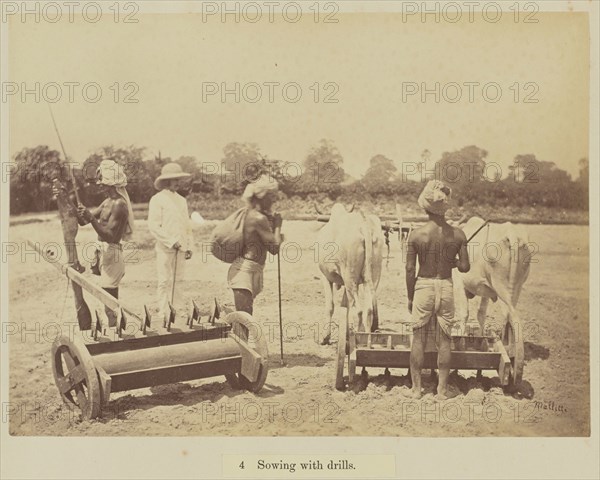 Sowing with drills; Oscar Mallitte, British, about 1829 - 1905, active Allahabad, India 1870s, Allahabad, India; 1877; Albumen