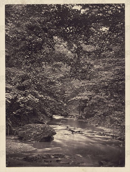 Forest stream; Arthur Brown, British, active 1850s, Saltburn-on-the-Sea, North Yorkshire, England; 1878; Carbon print