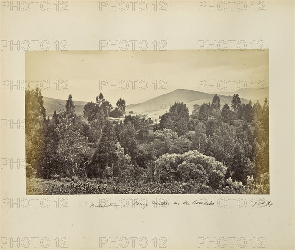 Ootacamund; Bishopsdown Stormy Weather on the Koondahs; Samuel Bourne, English, 1834 - 1912, Udagamandalam, Tamil NÄdu, India