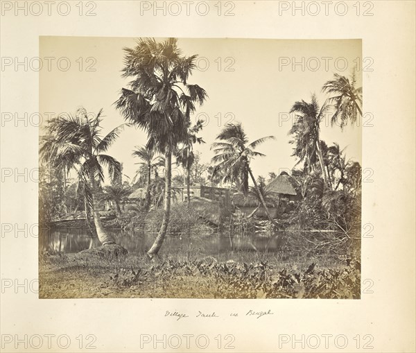 Calcutta; Rustic Scenes and Rural Life in Bengal; Samuel Bourne, English, 1834 - 1912, Calcutta, West Bengal, India, Asia