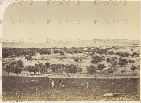 Panoramic View of the City: General View of the City &c. from the North; Sgt. James M. McDonald, English, 1822 - 1885, Israel