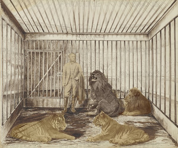 Portrait of a Man with Lions; British; England; 1870s; Albumen silver print with ink; 30.7 × 37.5 cm, 12 1,16 × 14 3,4 in