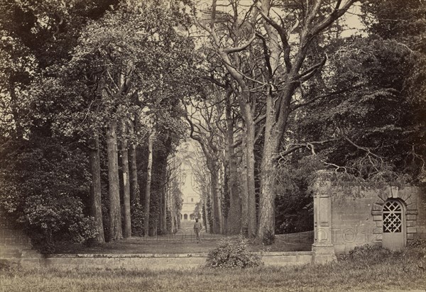Guy's Cliff, the avenue, from the road; Francis Bedford, English, 1815,1816 - 1894, Chester, England; about 1860 - 1870