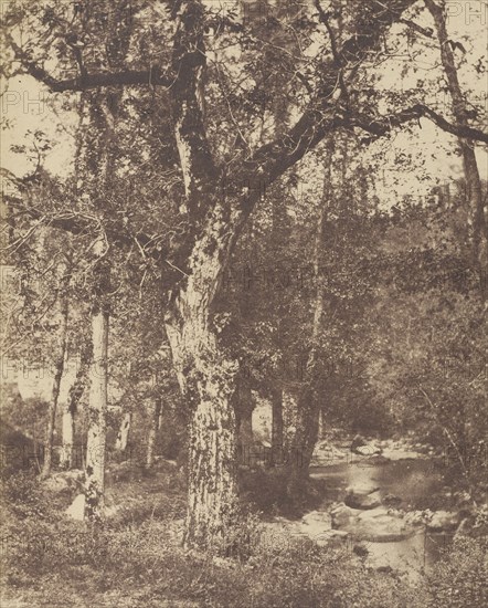 Wooded Landscape with Stream; Attributed to John Stewart, British, 1800 - 1887, Louis Désiré Blanquart-Evrard, French, 1802
