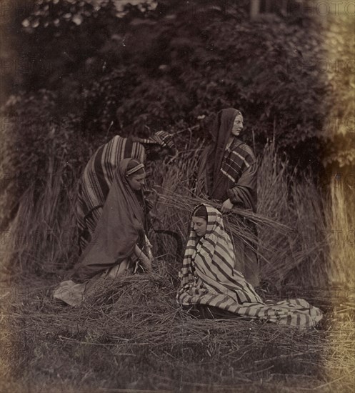 Ruth; Ronald Ruthven Leslie-Melville, Scottish,1835 - 1906, England; about 1860 - 1864; Albumen silver print