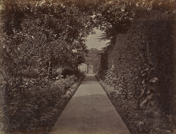 Kitchen Garden. Roehampton; Ronald Ruthven Leslie-Melville, Scottish,1835 - 1906, England; 1860s; Albumen silver print