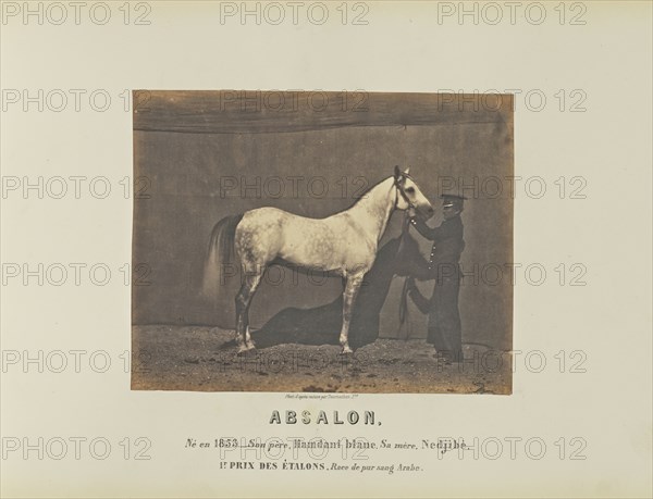 Absalon; Adrien Alban Tournachon, French, 1825 - 1903, France; 1860; Salted paper print; 17.5 × 22.2 cm, 6 7,8 × 8 3,4 in