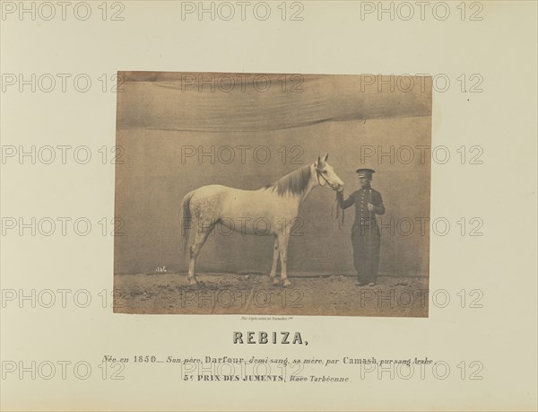 Rebiza; Adrien Alban Tournachon, French, 1825 - 1903, France; 1860; Salted paper print; 16.7 × 21.8 cm, 6 9,16 × 8 9,16 in