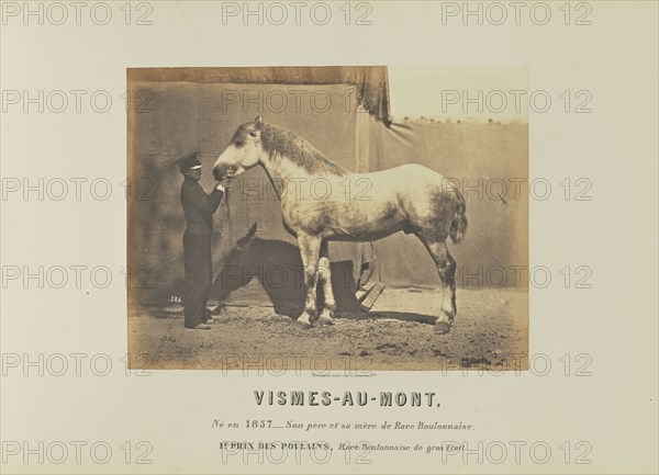 Vismes-Au-Mont; Adrien Alban Tournachon, French, 1825 - 1903, France; 1860; Salted paper print; 17.9 × 23.5 cm