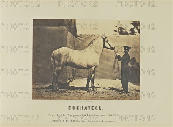 Duchateau; Adrien Alban Tournachon, French, 1825 - 1903, France; 1860; Salted paper print; 17.8 × 23.5 cm, 7 × 9 1,4 in