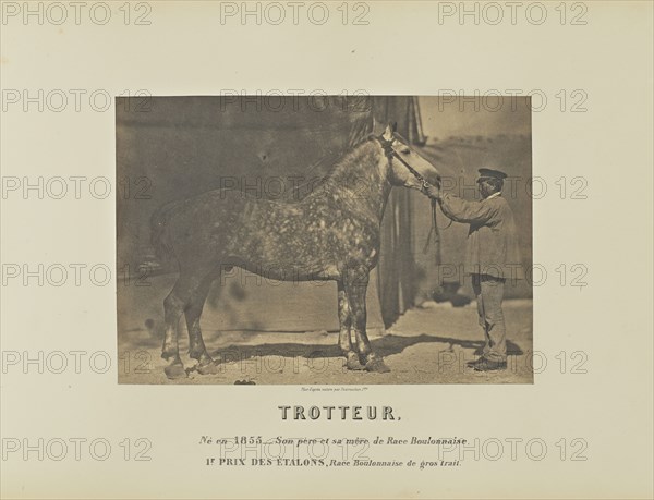 Trotteur; Adrien Alban Tournachon, French, 1825 - 1903, France; 1860; Salted paper print; 16.5 × 23.8 cm, 6 1,2 × 9 3,8 in