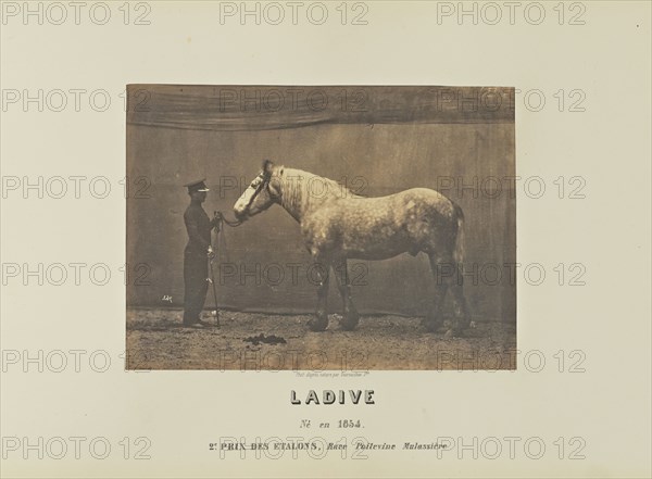 Ladive; Adrien Alban Tournachon, French, 1825 - 1903, France; 1860; Salted paper print; 16.4 × 22.3 cm, 6 7,16 × 8 3,4 in