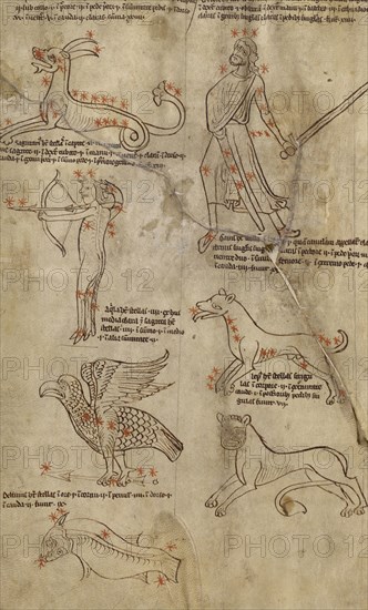 Constellation Diagrams; England; early 13th century; Pen and black, green, and red inks on parchment bound between pasteboard