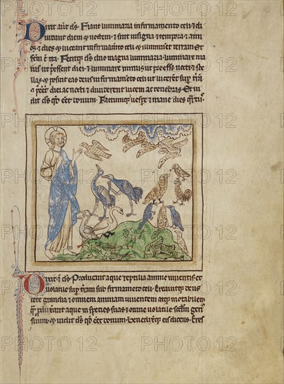 The Creation of the Birds and Fishes; England; about 1250 - 1260; Pen-and-ink drawings tinted with body color and translucent