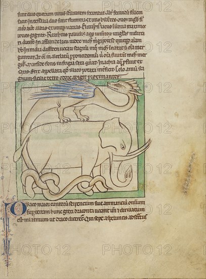 A Dragon; England; about 1250 - 1260; Pen-and-ink drawings tinted with body color and translucent washes on parchment; Leaf