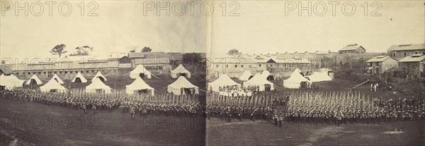 Group Portrait of the Royal Marine Battalion; Felice Beato, 1832 - 1909, Japan; October 1864; Albumen