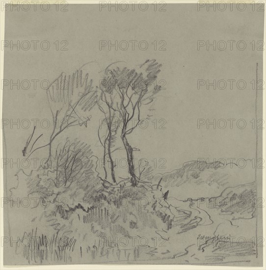 Tree Studies; Josef Wenglein, German, 1845 - 1919, Germany; n.d; Graphite; 20 x 19.8 cm, 7 7,8 x 7 13,16 in
