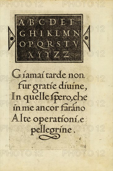 La operina di Ludouico Vicentino, da imparare di scriuere littera cancellarescha. Arrighi, Ludovico degli, Woodblock, 1522-1523